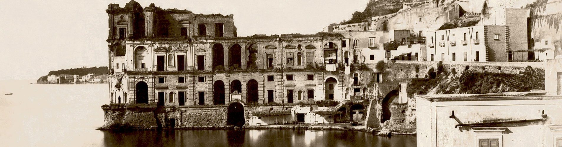 fdf_banner-4.jpg